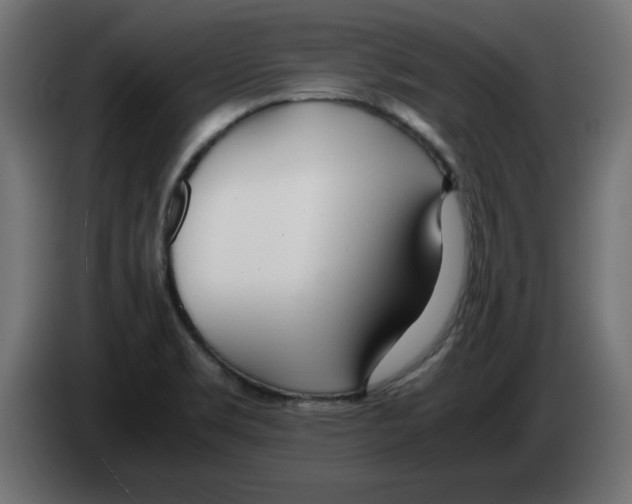 X0000083011469200703021928