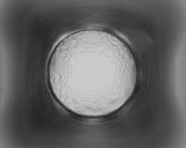 X0000083011471200703021928