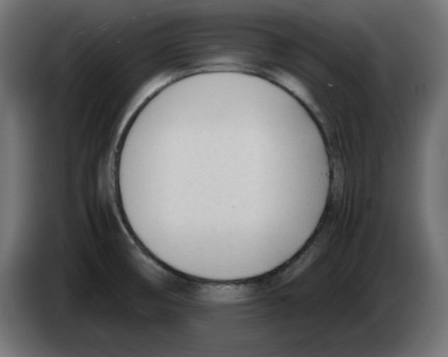 X0000083011474200703021927