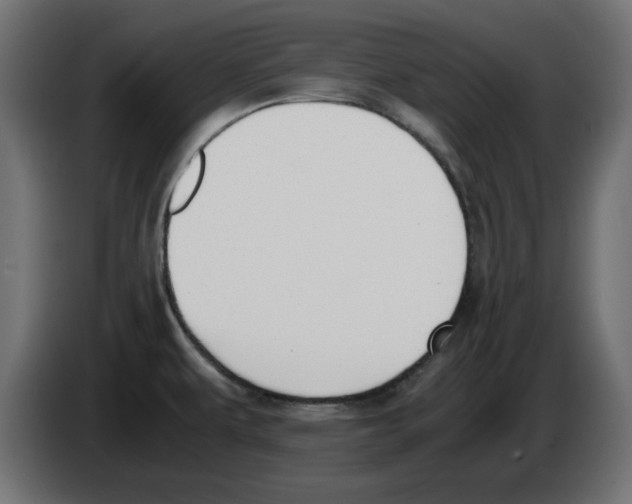 X0000083011479200703021927