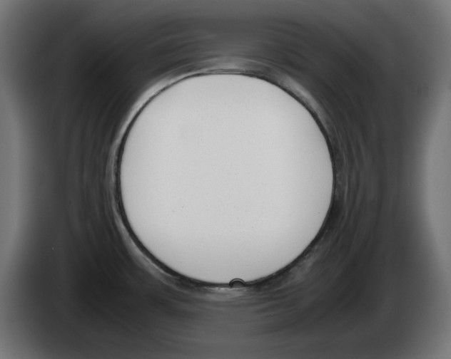 X0000083011483200703021927