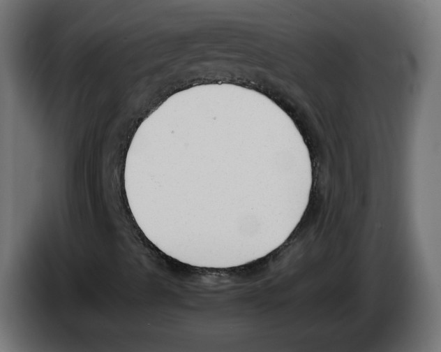 X0000083011489200703021926