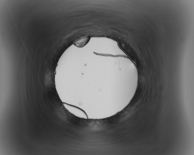 X0000083011490200703021926