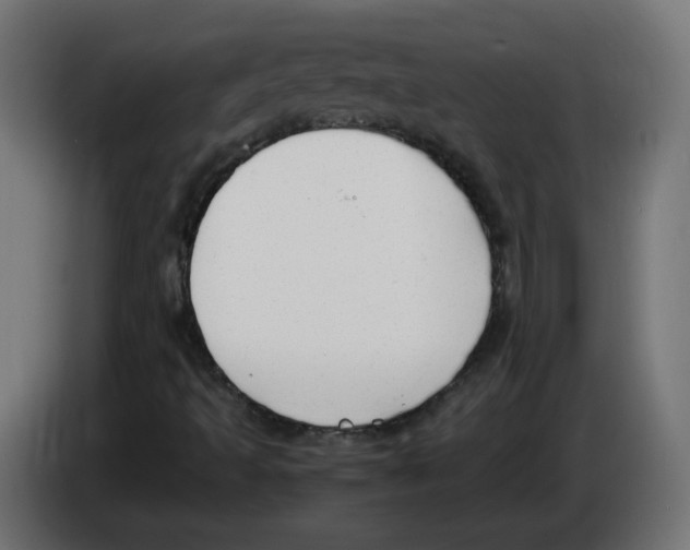 X0000083011493200703021926