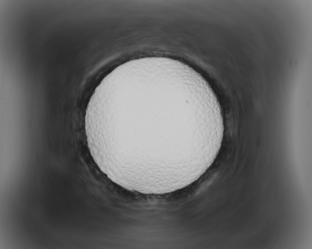 X0000083011494200703021926