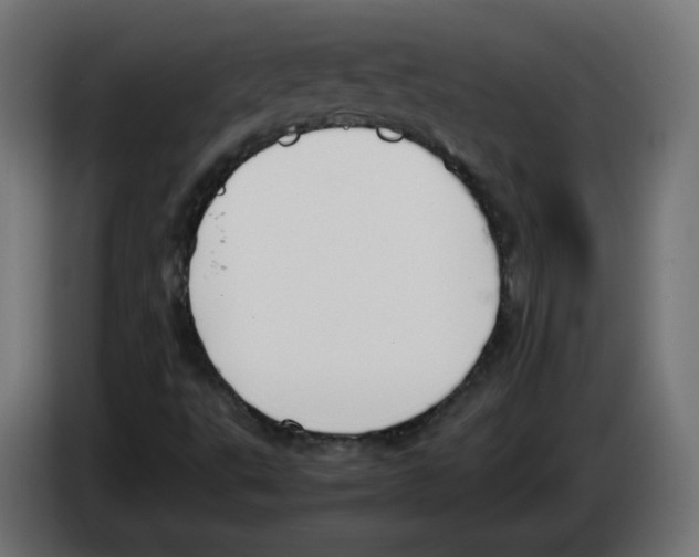 X0000083011495200703021926