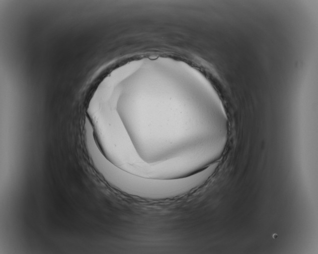 X0000083011496200703021926