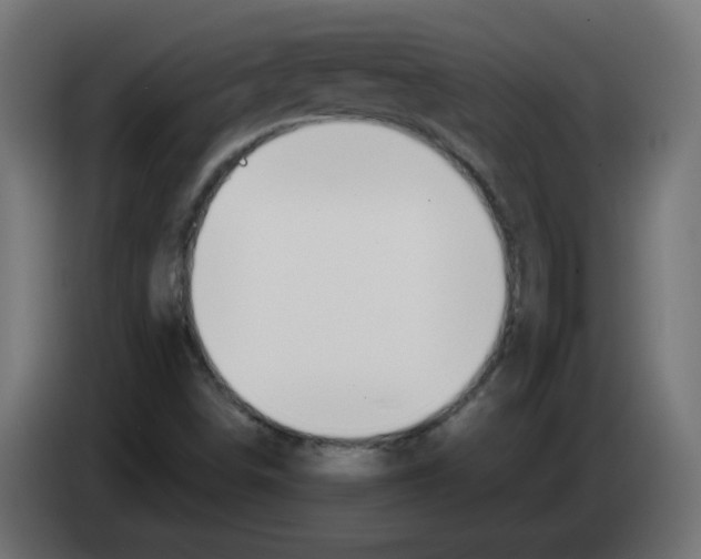 X0000083011498200703021926