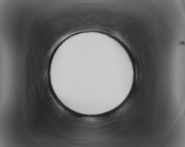 X0000083011500200703021926