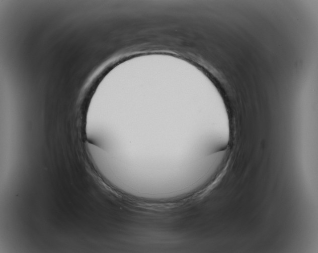 X0000083011502200703021926