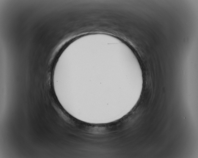 X0000083011503200703021926