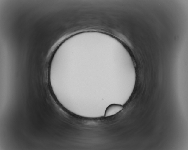 X0000083011504200703021927