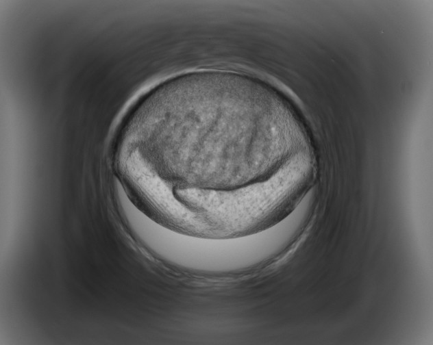 X0000083011506200703021927