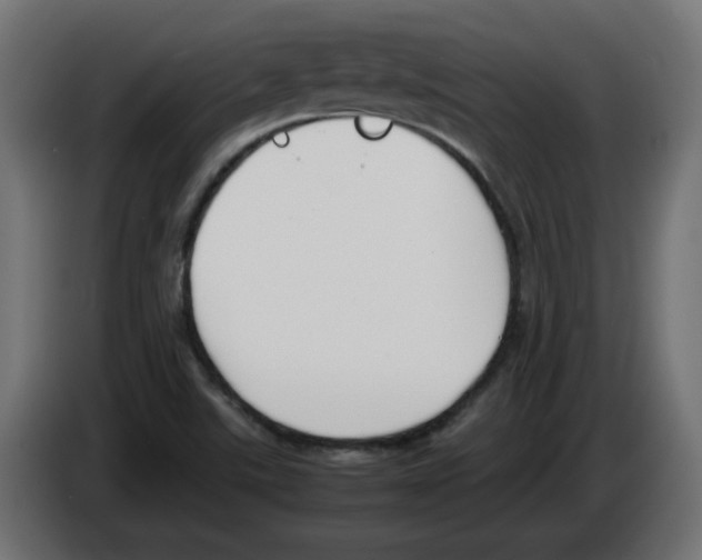 X0000083011507200703021927