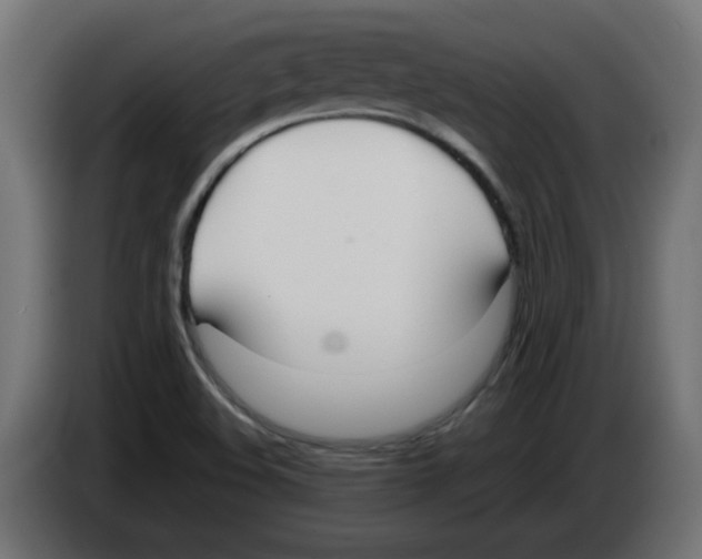 X0000083011508200703021927