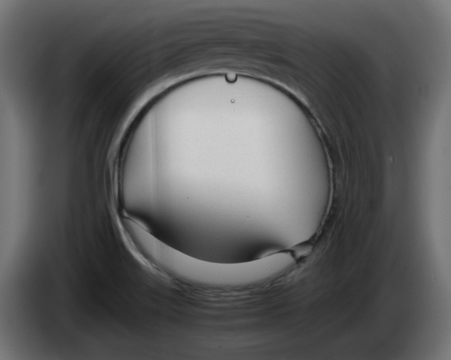 X0000083011515200703021927