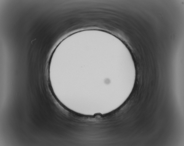 X0000083011516200703021927