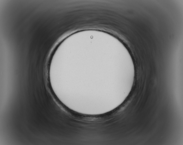 X0000083011517200703021927