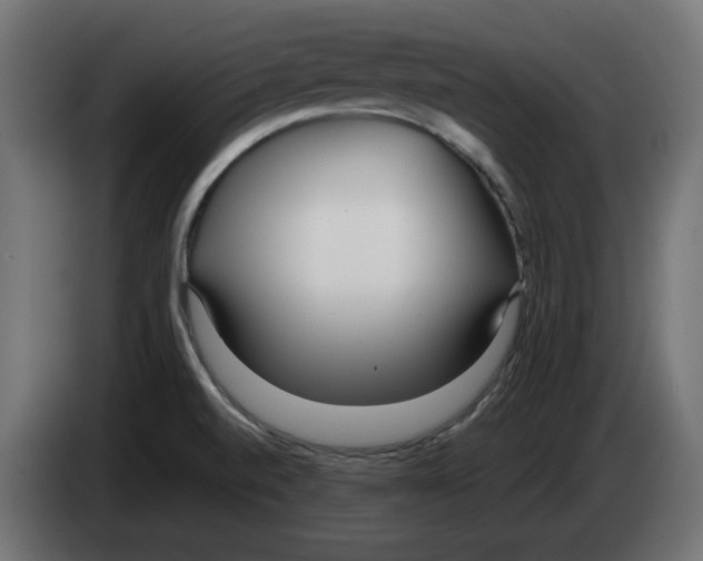 X0000083011520200703021927