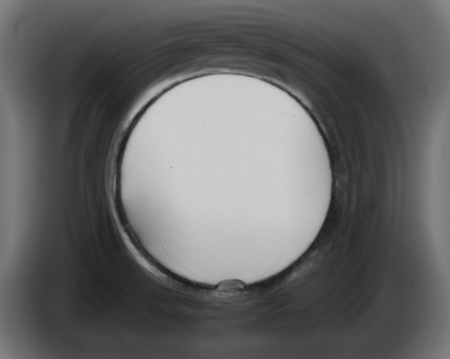 X0000083011523200703021927