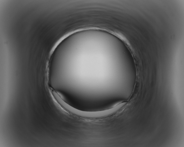 X0000083011524200703021927