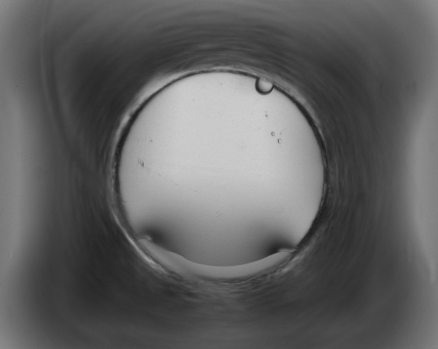 X0000083011525200703021927