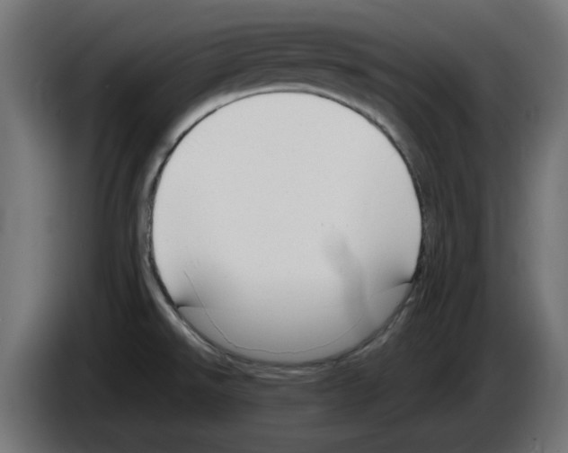 X0000083011526200703021927