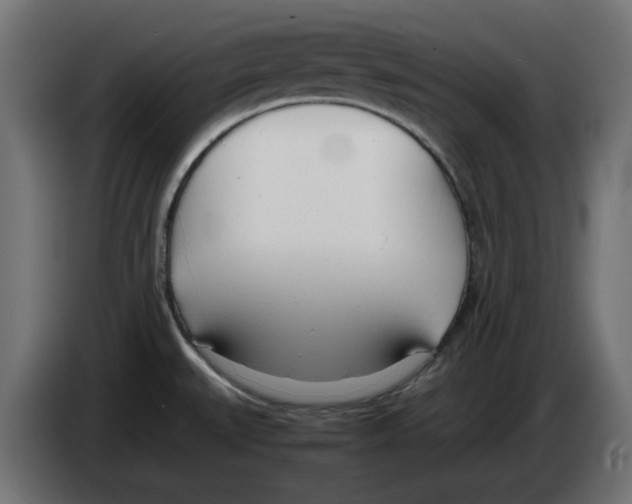 X0000083011527200703021927