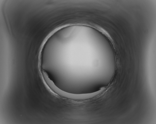 X0000083011528200703021927