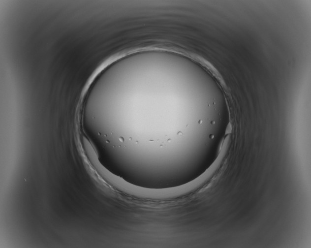 X0000083011530200703021927