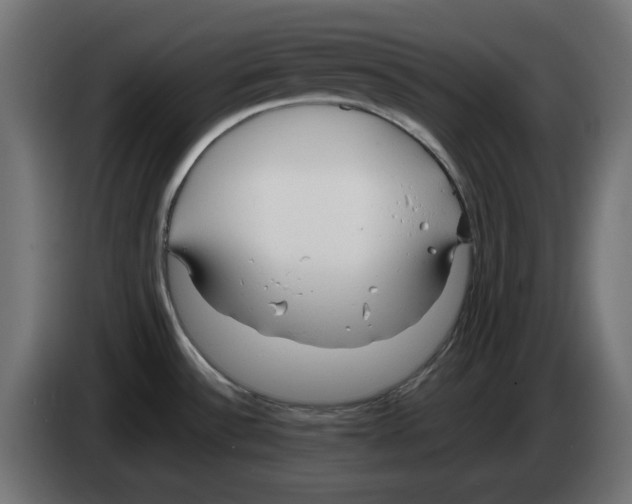 X0000083011532200703021927