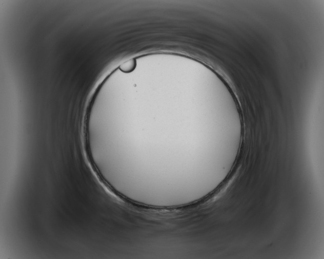 X0000083011533200703021927