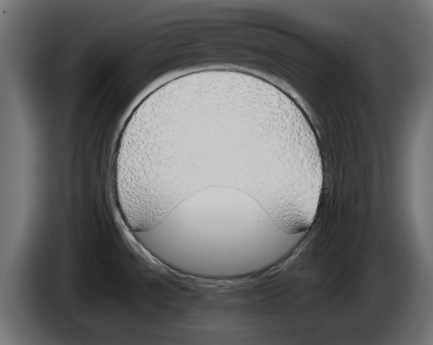 X0000083011534200703021927