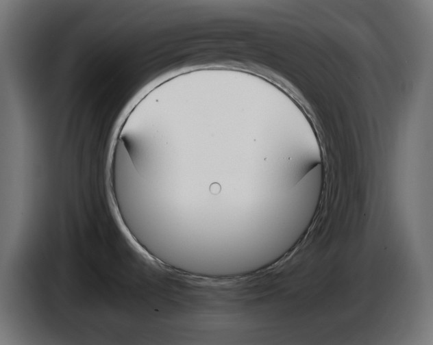 X0000083011536200703021927