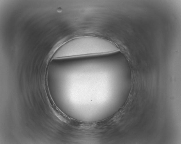 X0000083020051200702020952