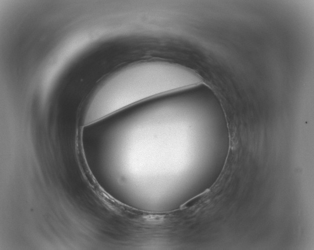 X0000083020052200702020952
