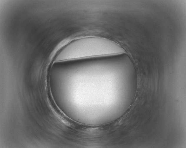 X0000083020054200702020952
