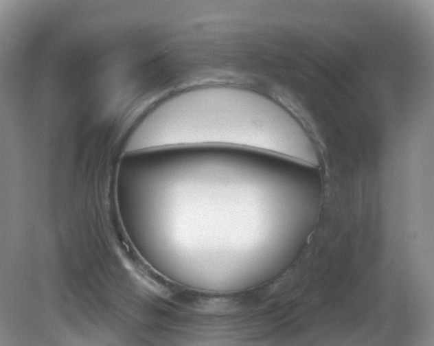 X0000083020058200702020952