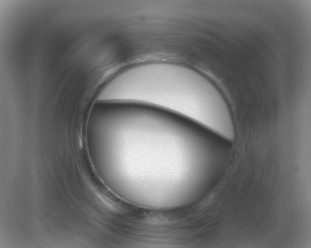 X0000083020062200702020952