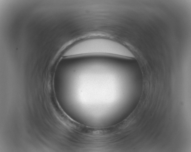 X0000083020064200702020952