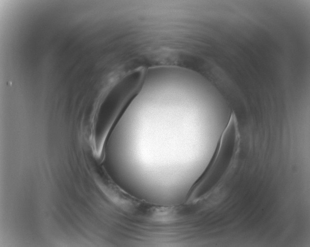 X0000083020088200702020952