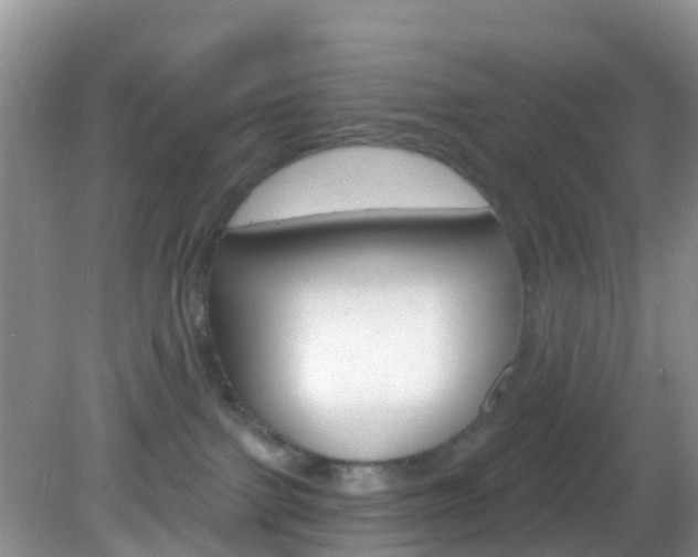 X0000083020091200702020952