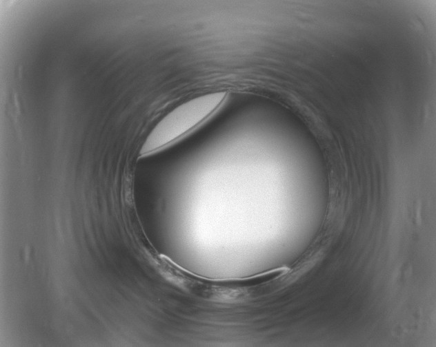 X0000083020096200702020952