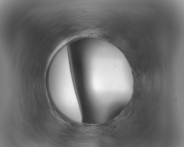 X0000083020100200702020952