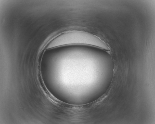 X0000083020101200702020952