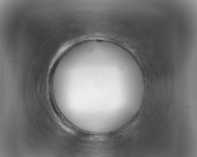 X0000083020102200702020952