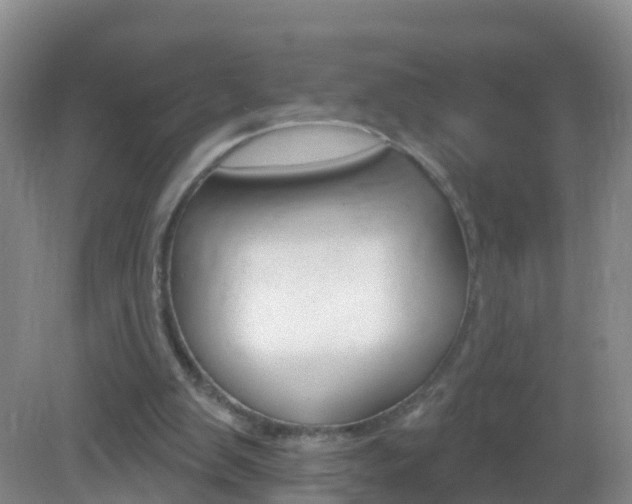 X0000083020103200702020952