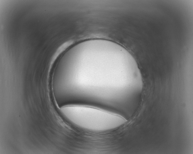 X0000083020104200702020951