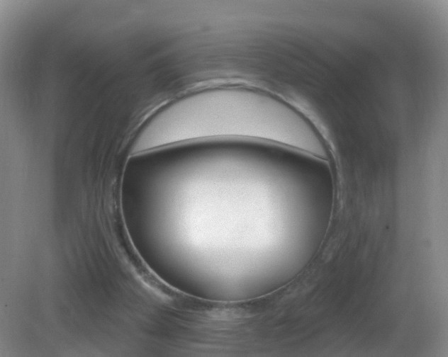 X0000083020105200702020951