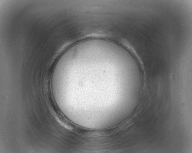 X0000083020106200702020951